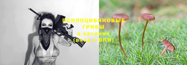 ECSTASY Абинск