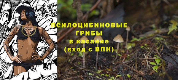 стаф Абдулино