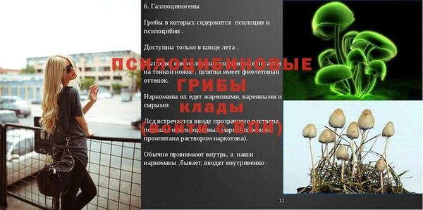 мдпв Абаза