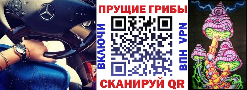 Псилоцибиновые грибы ЛСД  Староминская 